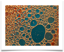 Oil and water 2 - Richard Nicholls